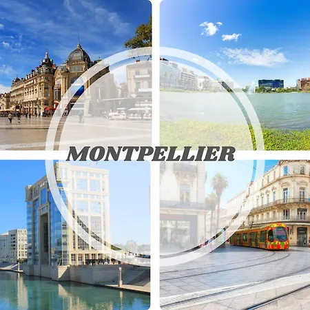 Апартаменты New Le Cocon-clim-videoprojecteur-parking-wifi-top Pros Conciergerie *